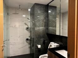 The Verandah Residences (D5), Apartment #453552571